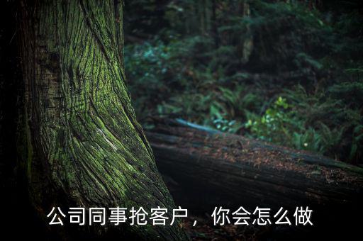 公司同事?lián)尶蛻?，你會怎么? class=