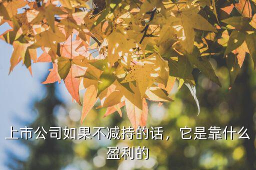 上市公司如果不減持的話，它是靠什么盈利的