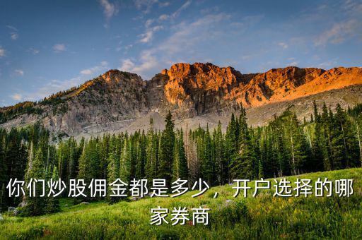 你們炒股傭金都是多少，開戶選擇的哪家券商