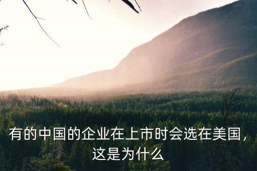 有的中國的企業(yè)在上市時(shí)會選在美國，這是為什么