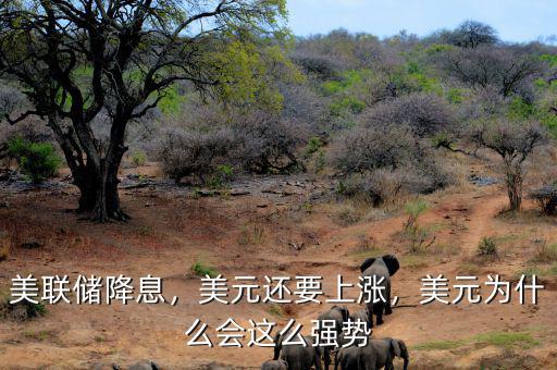 美聯(lián)儲降息，美元還要上漲，美元為什么會這么強勢