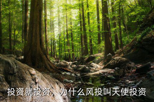投資就投資，為什么風(fēng)投叫天使投資