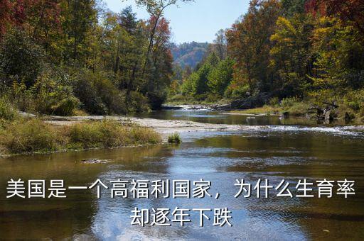 美國是一個高福利國家，為什么生育率卻逐年下跌