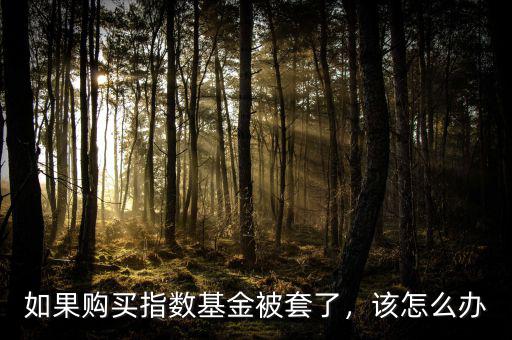 如果購買指數(shù)基金被套了，該怎么辦