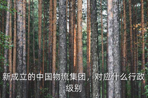 新成立的中國物流集團，對應(yīng)什么行政級別