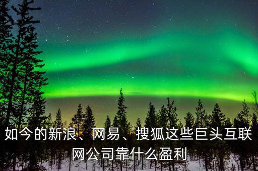 如今的新浪、網(wǎng)易、搜狐這些巨頭互聯(lián)網(wǎng)公司靠什么盈利