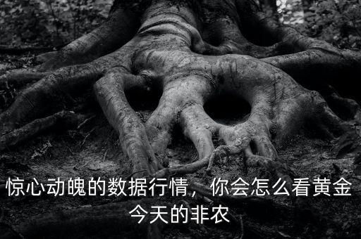 驚心動魄的數(shù)據(jù)行情，你會怎么看黃金今天的非農(nóng)