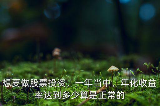 想要做股票投資，一年當(dāng)中，年化收益率達(dá)到多少算是正常的