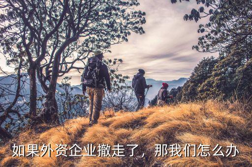 如果外資企業(yè)撤走了，那我們怎么辦