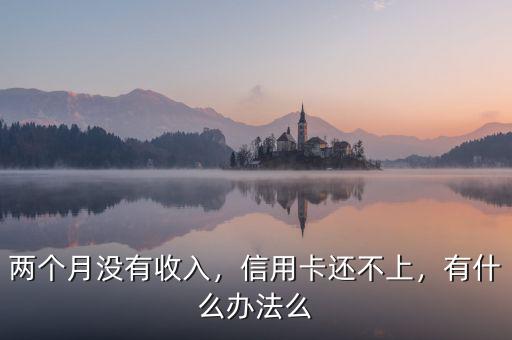 兩個(gè)月沒(méi)有收入，信用卡還不上，有什么辦法么