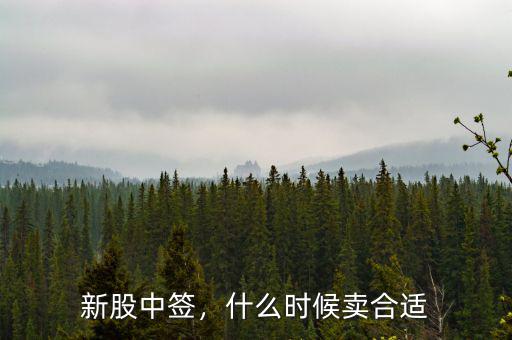 新股中簽，什么時(shí)候賣合適