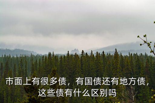 市面上有很多債，有國(guó)債還有地方債，這些債有什么區(qū)別嗎