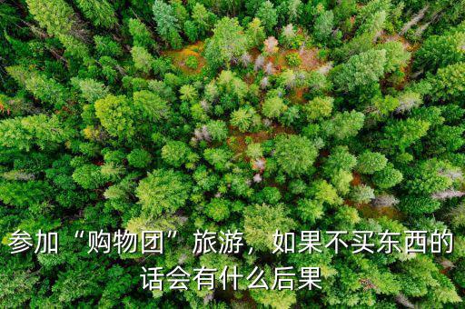 參加“購物團(tuán)”旅游，如果不買東西的話會有什么后果