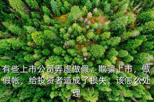 有些上市公司弄虛做假，欺騙上市，做假帳，給投資者造成了損失，該怎么處理
