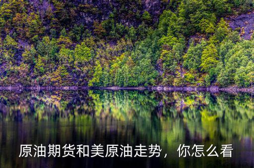 原油期貨和美原油走勢，你怎么看
