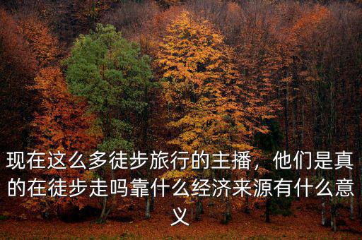 現(xiàn)在這么多徒步旅行的主播，他們是真的在徒步走嗎靠什么經(jīng)濟(jì)來(lái)源有什么意義