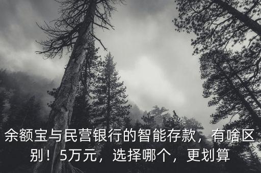 余額寶與民營銀行的智能存款，有啥區(qū)別！5萬元，選擇哪個，更劃算