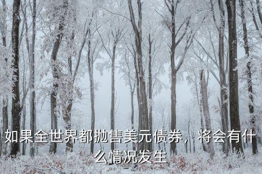如果全世界都拋售美元債券，將會(huì)有什么情況發(fā)生