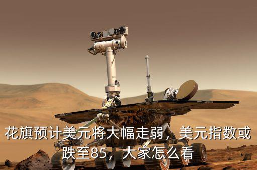花旗預(yù)計(jì)美元將大幅走弱，美元指數(shù)或跌至85，大家怎么看