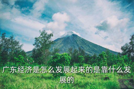 廣東經濟是怎么發(fā)展起來的是靠什么發(fā)展的