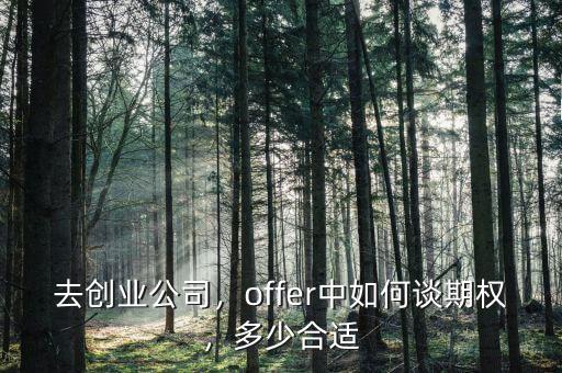 去創(chuàng)業(yè)公司，offer中如何談期權(quán)，多少合適