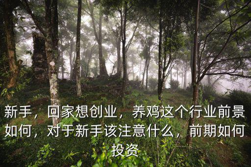 新手，回家想創(chuàng)業(yè)，養(yǎng)雞這個行業(yè)前景如何，對于新手該注意什么，前期如何投資