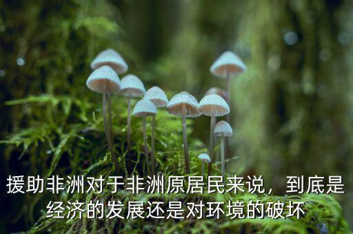 援助非洲對于非洲原居民來說，到底是經(jīng)濟的發(fā)展還是對環(huán)境的破壞