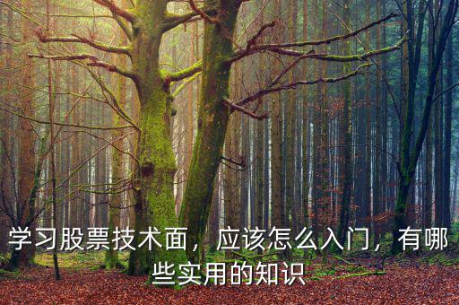 學(xué)習(xí)股票技術(shù)面，應(yīng)該怎么入門，有哪些實用的知識