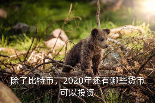 除了比特幣，2020年還有哪些貨幣可以投資