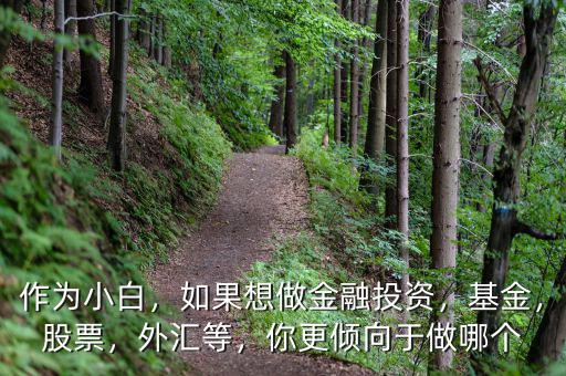作為小白，如果想做金融投資，基金，股票，外匯等，你更傾向于做哪個(gè)