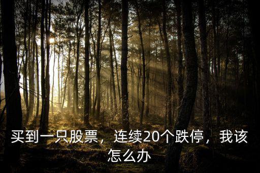 買到一只股票，連續(xù)20個跌停，我該怎么辦