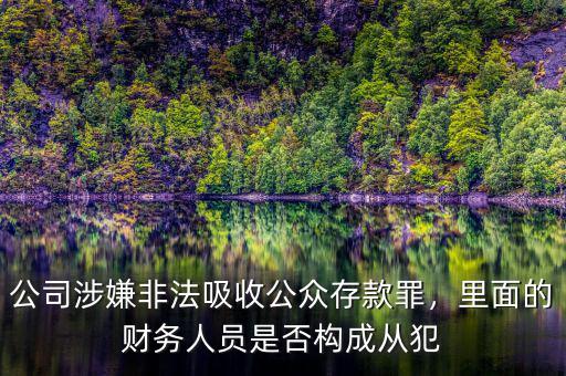 公司涉嫌非法吸收公眾存款罪，里面的財(cái)務(wù)人員是否構(gòu)成從犯