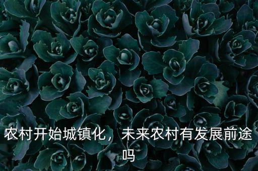 農(nóng)村開(kāi)始城鎮(zhèn)化，未來(lái)農(nóng)村有發(fā)展前途嗎