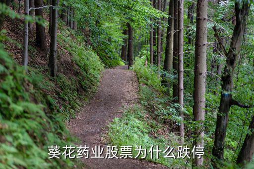 上?？ㄋ帢I(yè)處方賺多少錢,在上海投資開藥店要多少錢