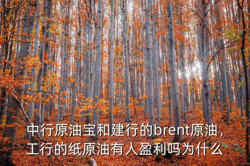 中行原油寶和建行的brent原油，工行的紙?jiān)陀腥擞麊釣槭裁? class=