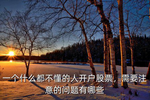 一個什么都不懂的人開戶股票，需要注意的問題有哪些