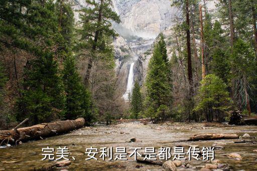 完美、安利是不是都是傳銷