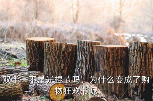 雙十一不是光棍節(jié)嗎，為什么變成了購物狂歡節(jié)呢