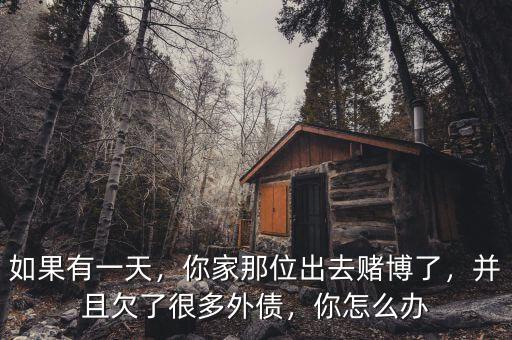 如果有一天，你家那位出去賭博了，并且欠了很多外債，你怎么辦