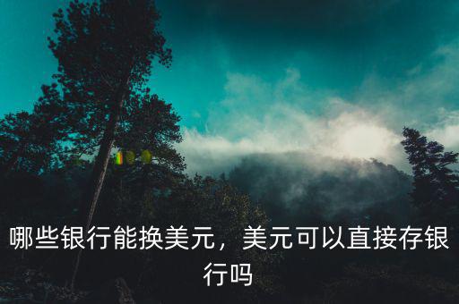 哪些銀行能換美元，美元可以直接存銀行嗎