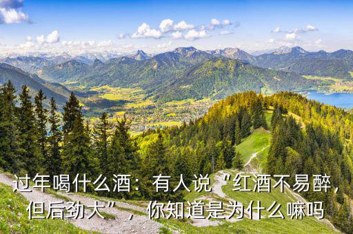 過年喝什么酒：有人說“紅酒不易醉，但后勁大”，你知道是為什么嘛嗎