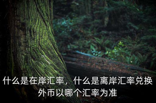 什么是在岸匯率，什么是離岸匯率兌換外幣以哪個(gè)匯率為準(zhǔn)