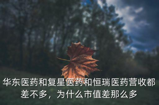華東醫(yī)藥和復(fù)星醫(yī)藥和恒瑞醫(yī)藥營收都差不多，為什么市值差那么多