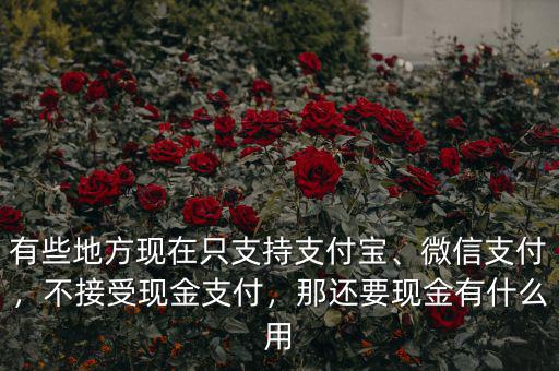 有些地方現(xiàn)在只支持支付寶、微信支付，不接受現(xiàn)金支付，那還要現(xiàn)金有什么用