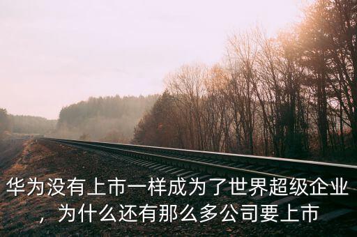 華為沒有上市一樣成為了世界超級(jí)企業(yè)，為什么還有那么多公司要上市