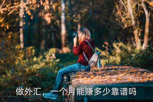 做外匯，一個(gè)月能賺多少靠譜嗎