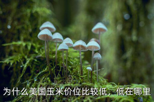 為什么美國玉米價(jià)位比較低，低在哪里
