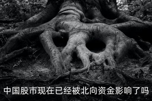 中國(guó)股市有多少資金,中國(guó)股民有一半人賺錢(qián)嗎