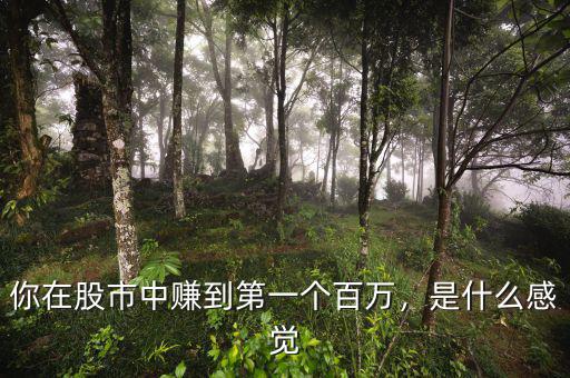 你在股市中賺到第一個(gè)百萬，是什么感覺