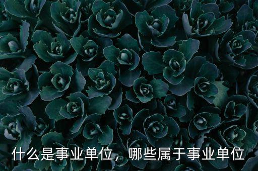 什么是事業(yè)單位，哪些屬于事業(yè)單位